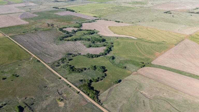 156+/- Versatile Acres in Rush County, Ks