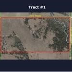 Ag. Land Auction